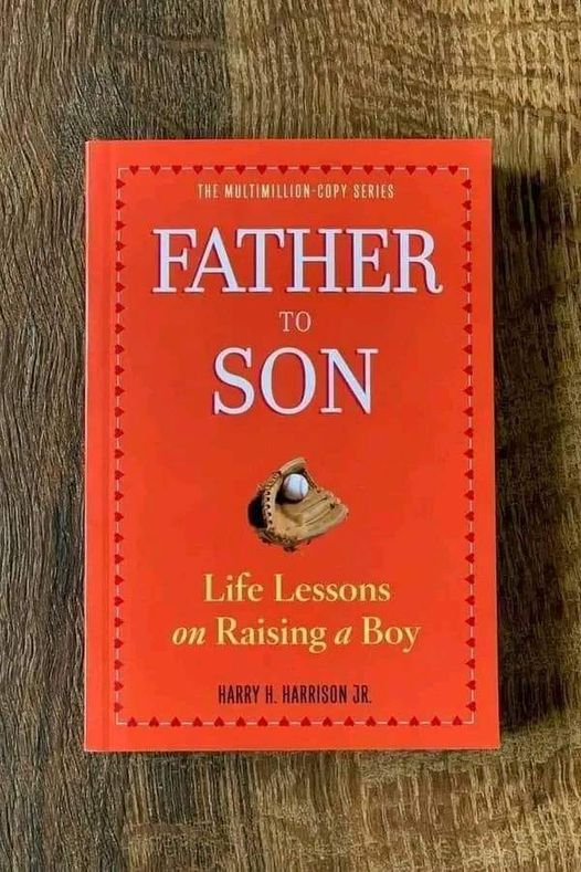 Father to son : life lessons on raising a boy